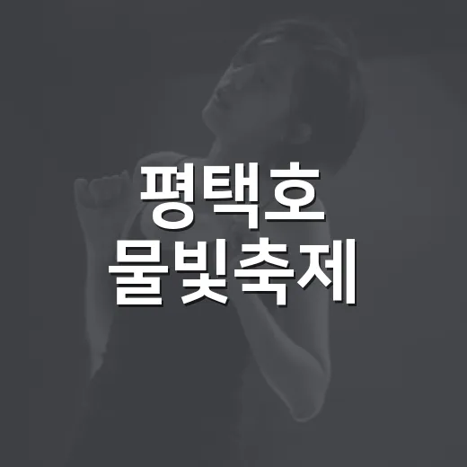 평택호 물빛축제, 가을밤 빛내다