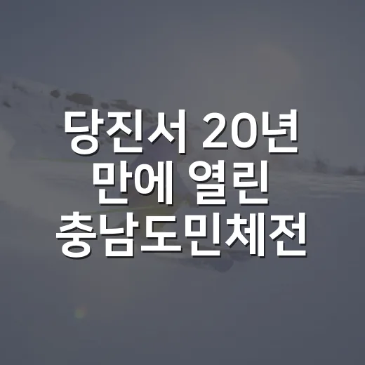 당진서 20년 만에 열린 충남도민체전 현장