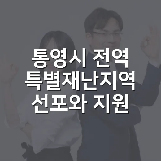 통영시 전역 특별재난지역 선포와 지원 대책