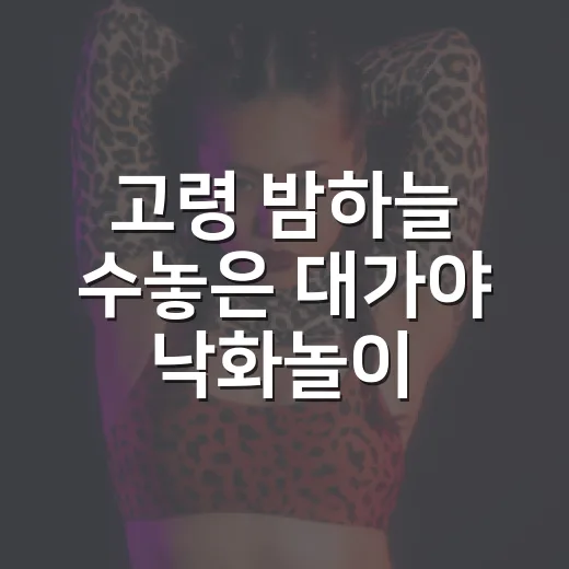 고령 밤하늘 수놓은 대가야 낙화놀이