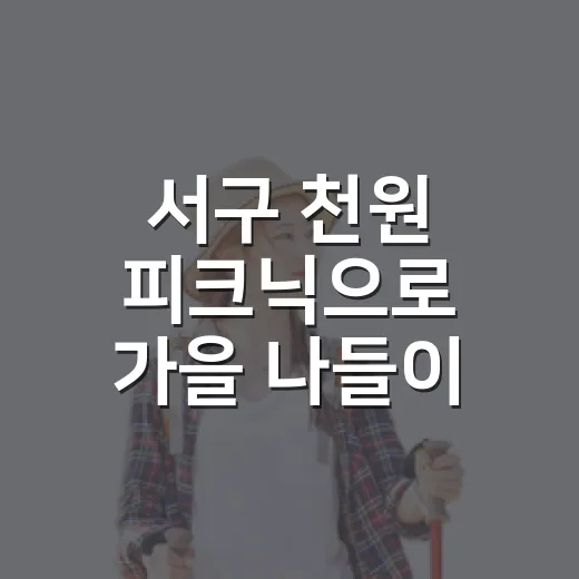 서구 천원 피크닉으로 가을 나들이 즐기세요