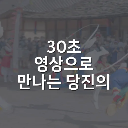30초 영상으로 만나는 당진의 매력