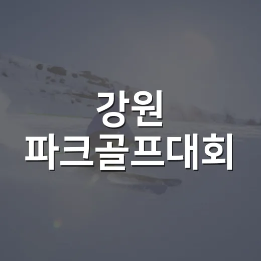 강원 파크골프대회, 300명 열기 가득