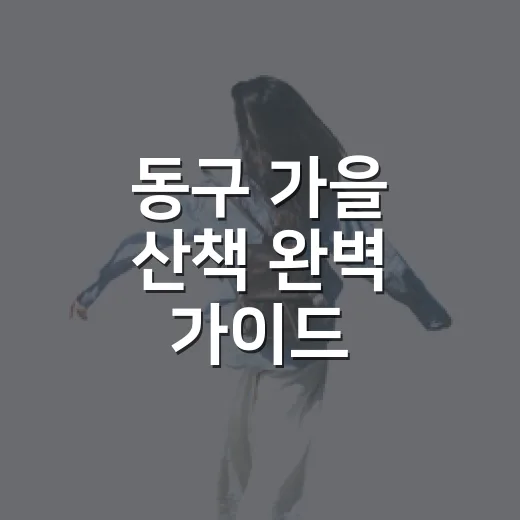 동구 가을 산책 완벽 가이드