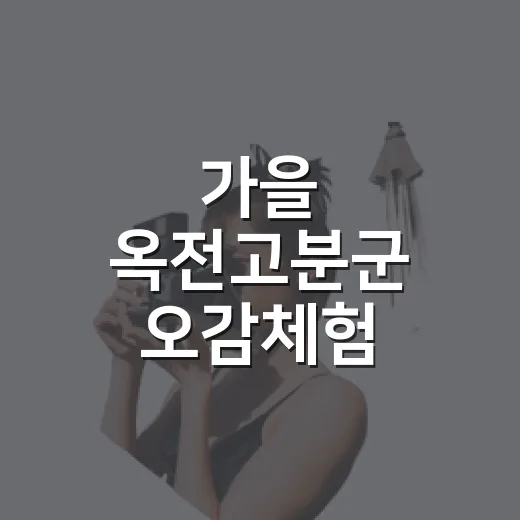 가을 옥전고분군 오감체험 참가자 모집