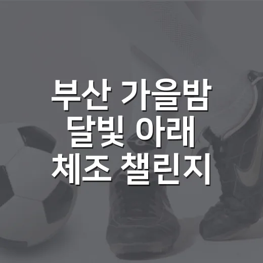 부산 가을밤 달빛 아래 체조 챌린지