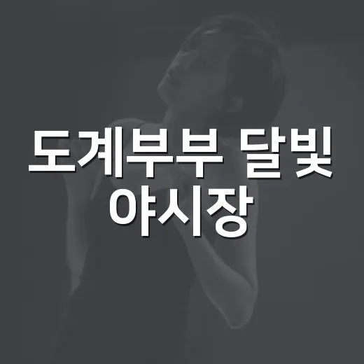 도계부부 달빛 야시장, 가을밤 문화의 향연
