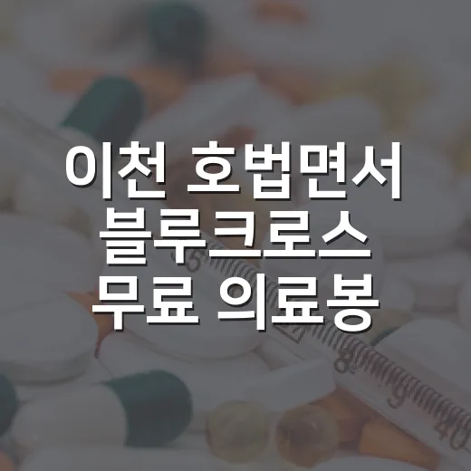 이천 호법면서 블루크로스 무료 의료봉사