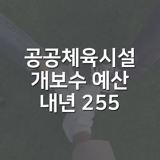 공공체육시설 개보수 예산 내년 2558억 투입