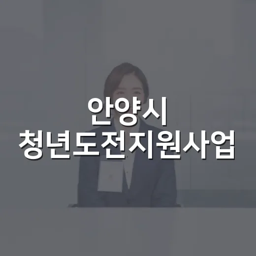 안양시 청년도전지원사업, 청년 미래를 잇다