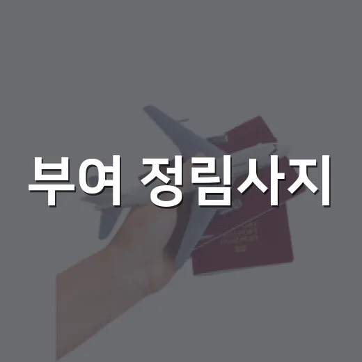 부여 정림사지, 빛과 영상의 밤 여행