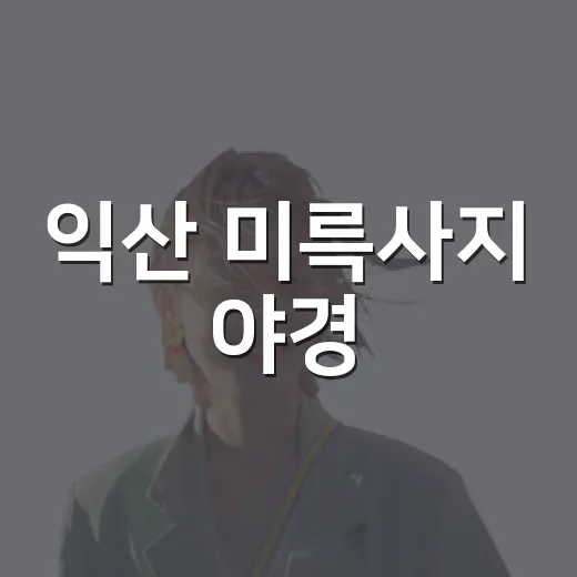 익산 미륵사지 야경, 가을밤의 특별한 산책