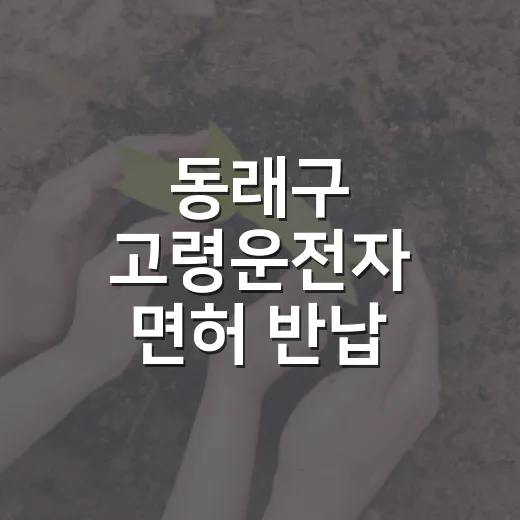 동래구 고령운전자 면허 반납 인센티브 확대