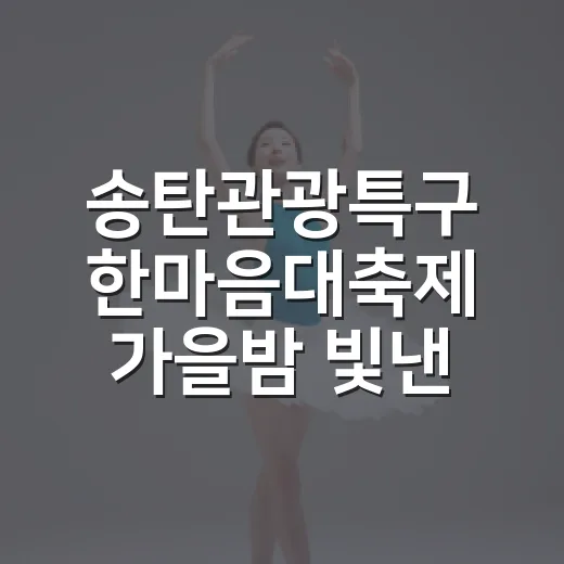 송탄관광특구 한마음대축제 가을밤 빛낸다