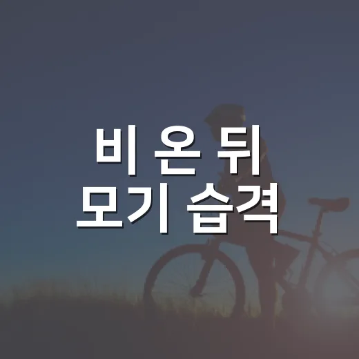 비 온 뒤 모기 습격, 가족 건강 지키는 예방법