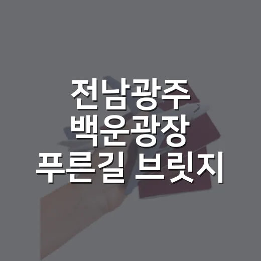 전남광주 백운광장 푸른길 브릿지 야경 산책