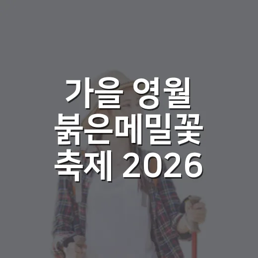 가을 영월 붉은메밀꽃 축제 2026