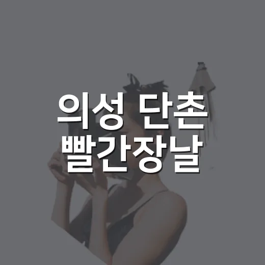 의성 단촌 빨간장날, 가을 축제의 진수