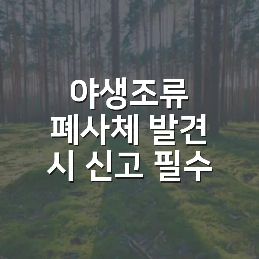 야생조류 폐사체 발견 시 신고 필수 행동수칙
