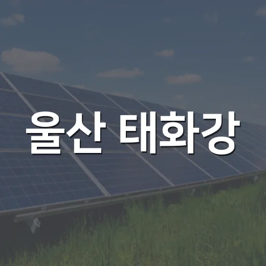 울산 태화강, 5회 연속 생태관광지역 재지정