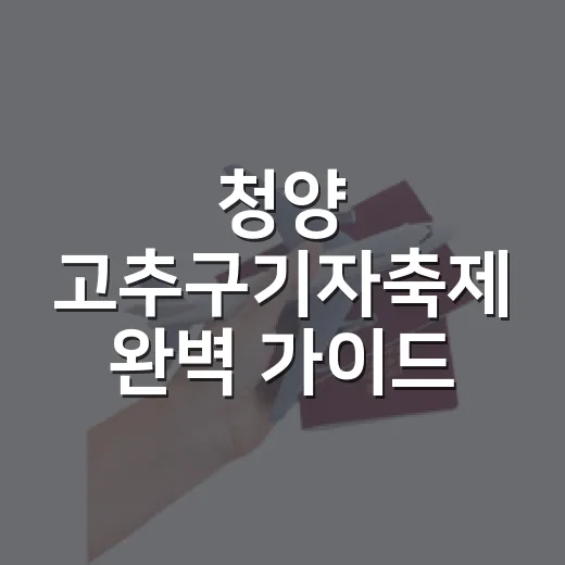 청양 고추구기자축제 완벽 가이드