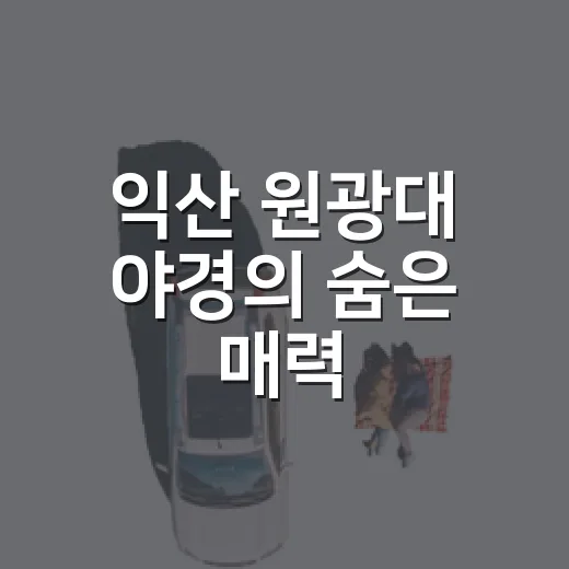 익산 원광대 야경의 숨은 매력