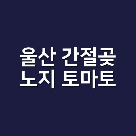 울산 간절곶 노지 토마토, KBS ‘6시 내 고향’ 주목