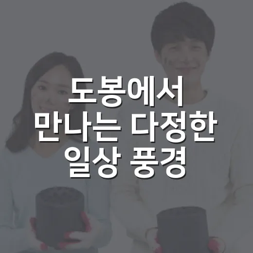 도봉에서 만나는 다정한 일상 풍경