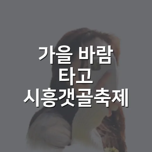 가을 바람 타고 시흥갯골축제 향연