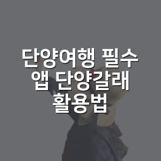 단양여행 필수 앱 단양갈래 활용법