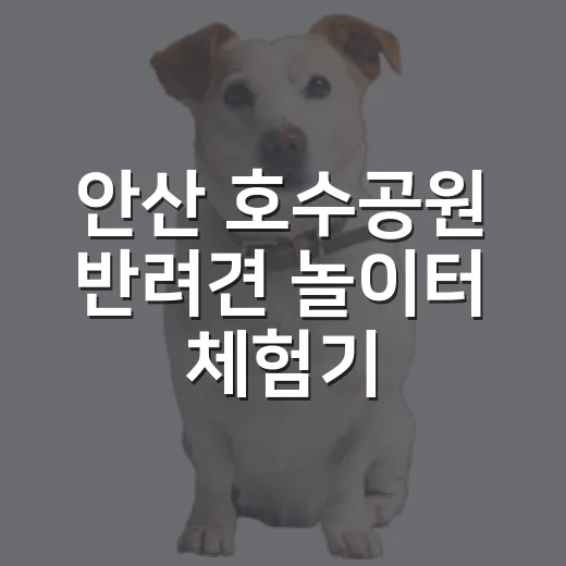 안산 호수공원 반려견 놀이터 체험기