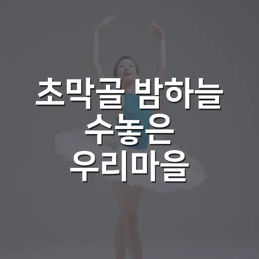 초막골 밤하늘 수놓은 우리마을 음악회