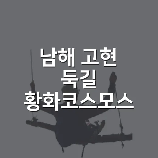 남해 고현 둑길 황화코스모스 물결