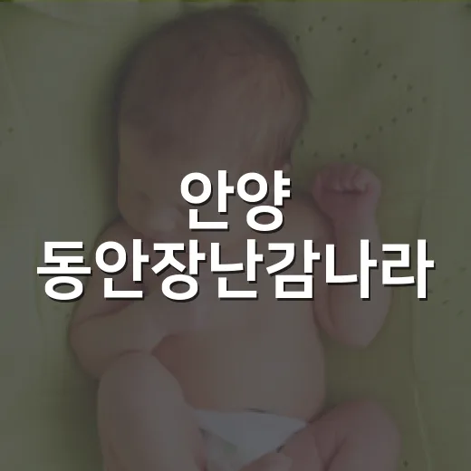 안양 동안장난감나라, 아이와 함께하는 장난감 대여의 모든 것
