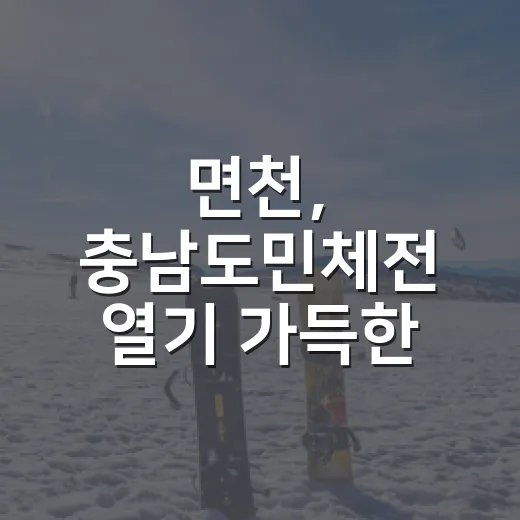 면천, 충남도민체전 열기 가득한 경기장