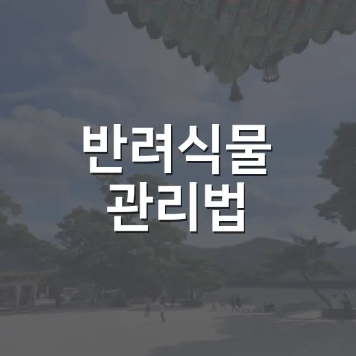 반려식물 관리법, 기장군 무료 교육