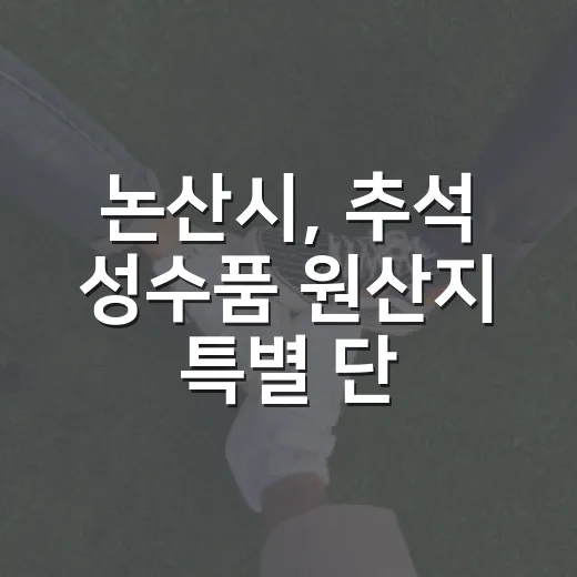 논산시, 추석 성수품 원산지 특별 단속 강화