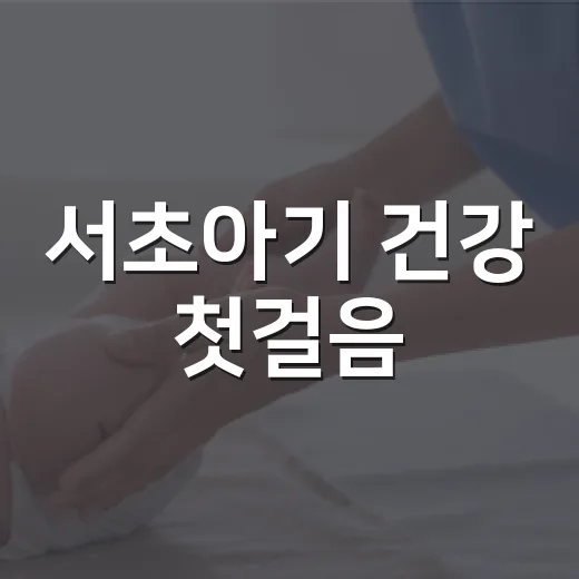 서초아기 건강 첫걸음, 보건소 방문 서비스