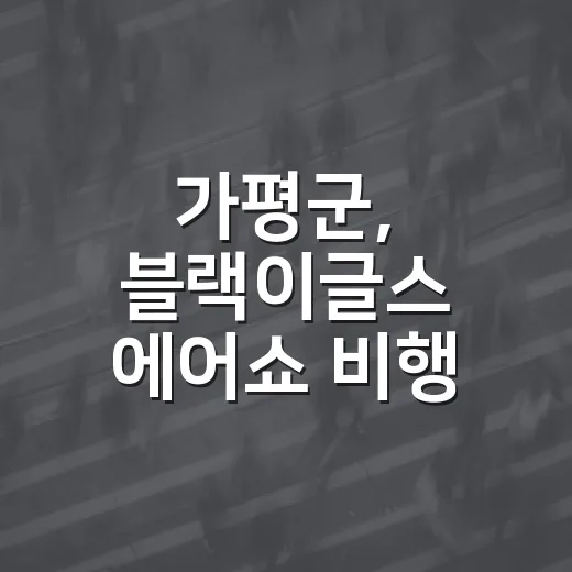 가평군, 블랙이글스 에어쇼 비행 소음 안내