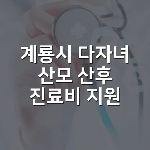 계룡시 다자녀 산모 산후 진료비 지원