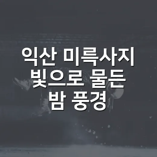익산 미륵사지 빛으로 물든 밤 풍경