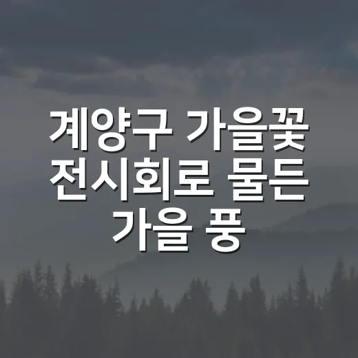 계양구 가을꽃 전시회로 물든 가을 풍경