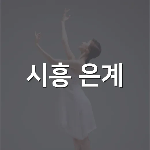 시흥 은계·신천서 빛과 열정의 주말 축제