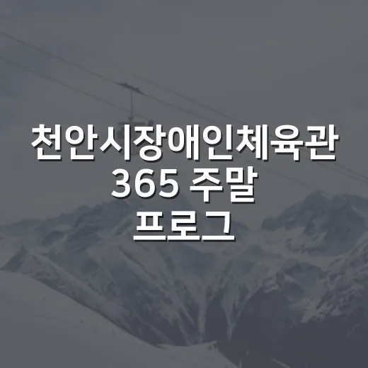 천안시장애인체육관 365 주말 프로그램 참여자 모집