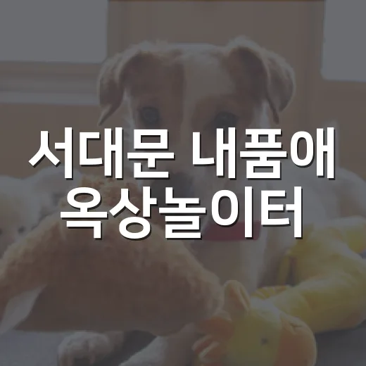 서대문 내품애 옥상놀이터, 반려견과 가족 위한 힐링 공간