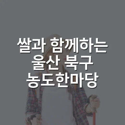 쌀과 함께하는 울산 북구 농도한마당 체험기
