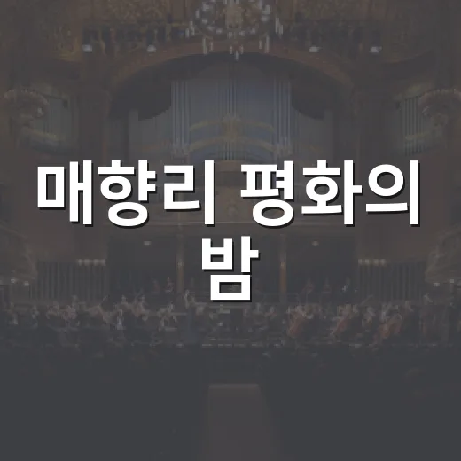 매향리 평화의 밤, M…UTE CAMP 체험