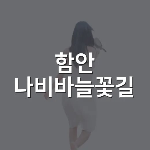 함안 나비바늘꽃길, 가을 꽃길 산책 명소