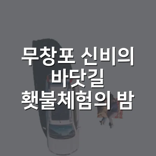 무창포 신비의 바닷길 횃불체험의 밤