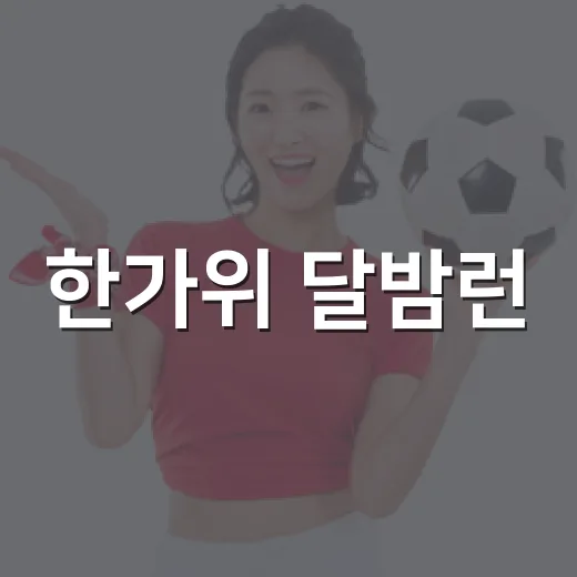 한가위 달밤런, 여의도서 5km 달리기 행사